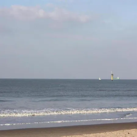 In Belgium Near The Apartman Knokke-Heist