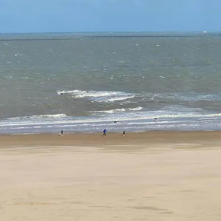 In Belgium Near The * Knokke-Heist