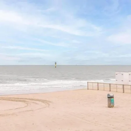 In Belgium Near The * Knokke-Heist