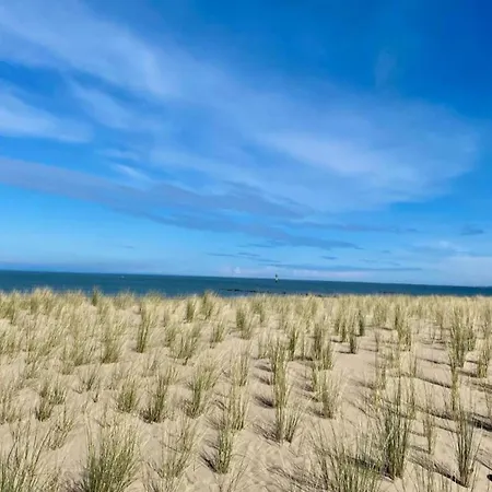 In Belgium Near The Apartman Knokke-Heist
