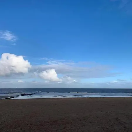 In Belgium Near The * Knokke-Heist