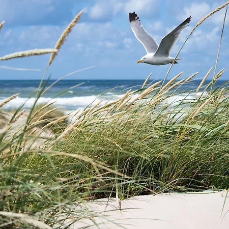 In Belgium Near The Knokke-Heist